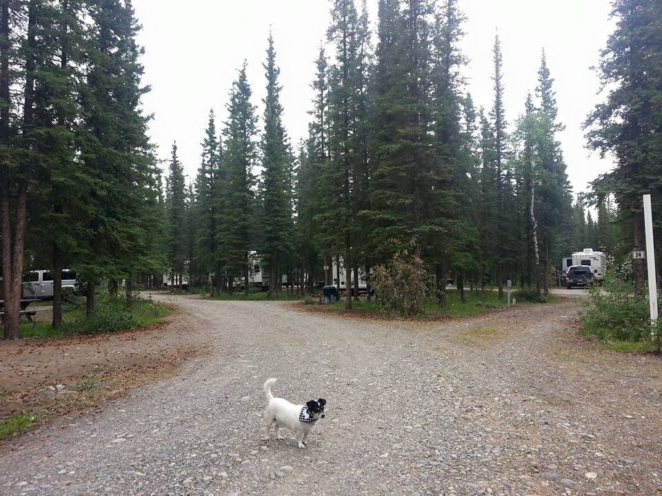 full-park