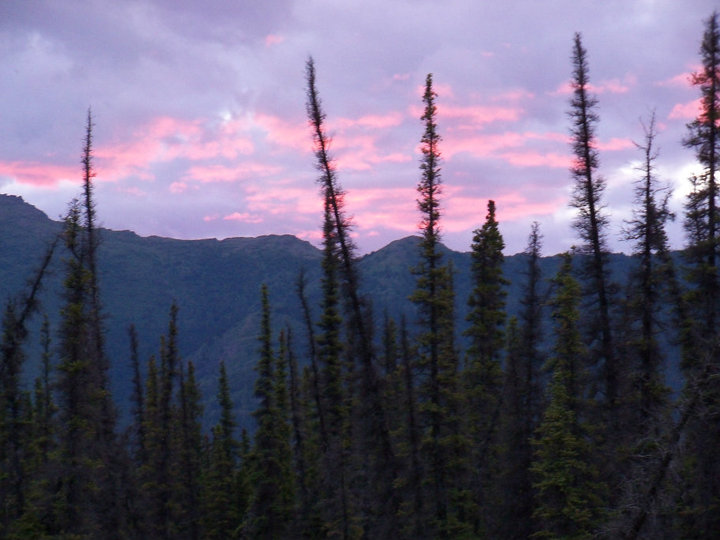 pinksky